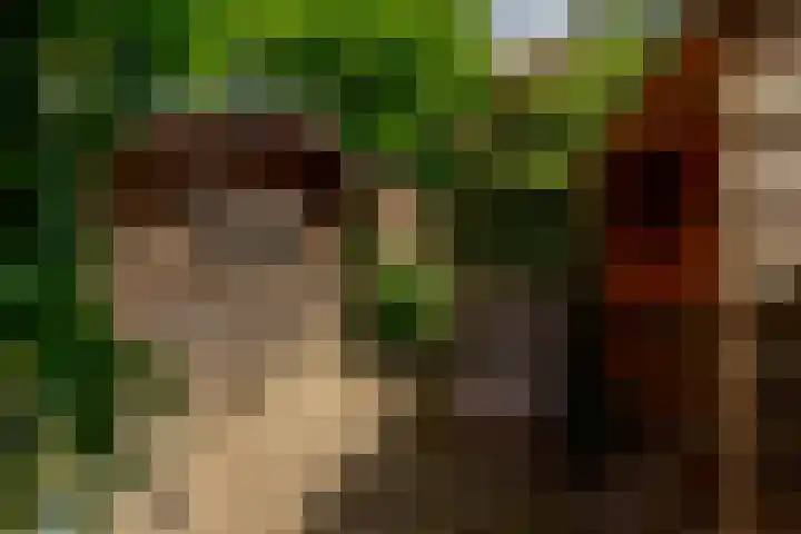 Wilhelminalaan 3 Rotterdam thumbnail 31