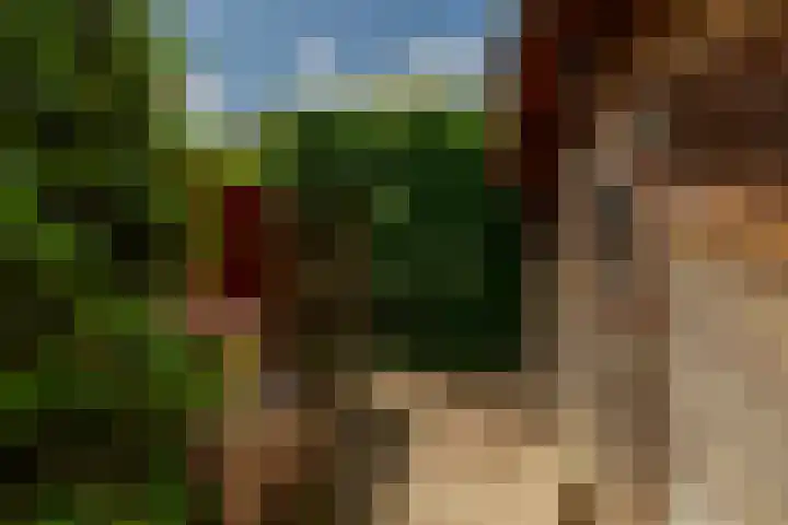 Wilhelminalaan 3 Rotterdam thumbnail 32