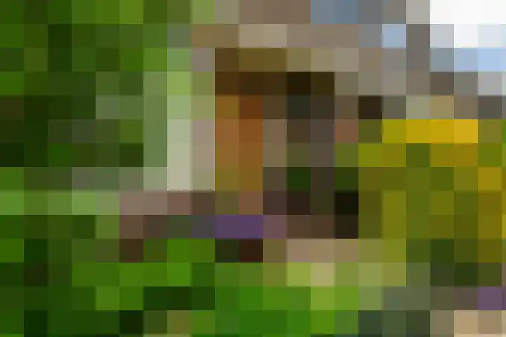 Wilhelminalaan 3 Rotterdam thumbnail 34