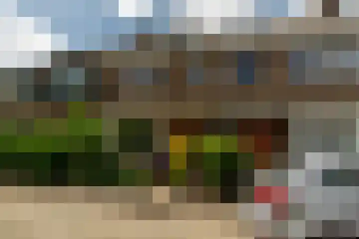 Wilhelminalaan 3 Rotterdam thumbnail 35