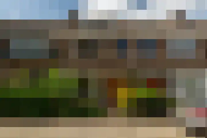Wilhelminalaan 3 Rotterdam thumbnail 36