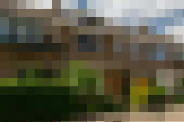Wilhelminalaan 3 Rotterdam thumbnail 37