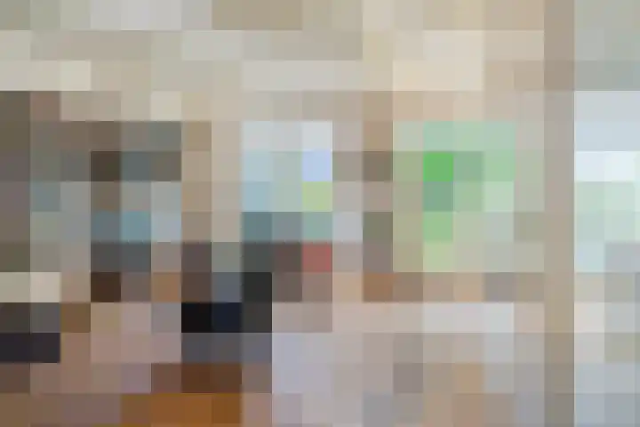 Wilhelminalaan 3 Rotterdam thumbnail 4