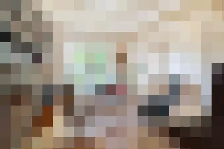 Wilhelminalaan 3 Rotterdam thumbnail 7