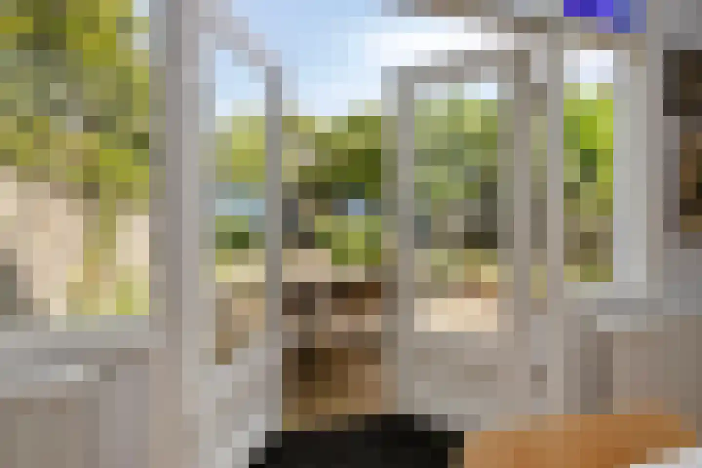Wilhelminalaan 3 Vught thumbnail 11