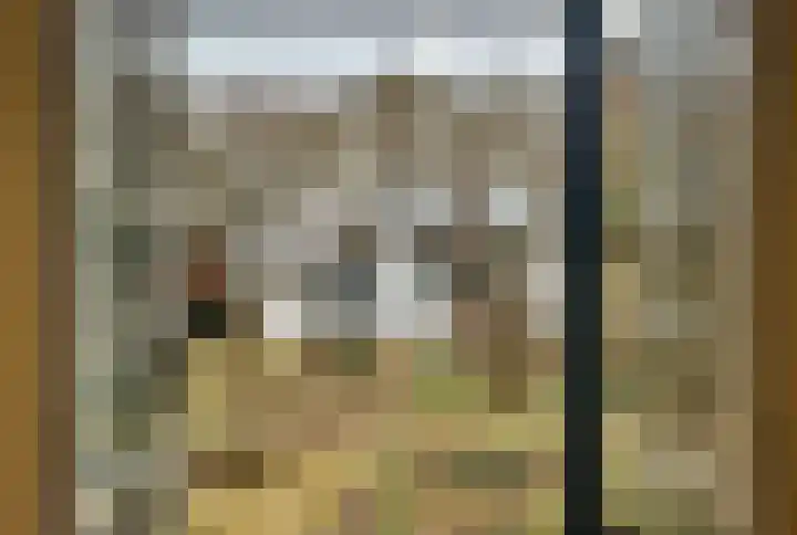 Wilhelminalaan 3 Vught thumbnail 17