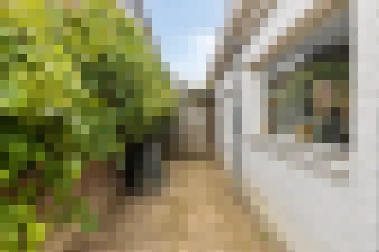 Wilhelminalaan 3 Vught thumbnail 18