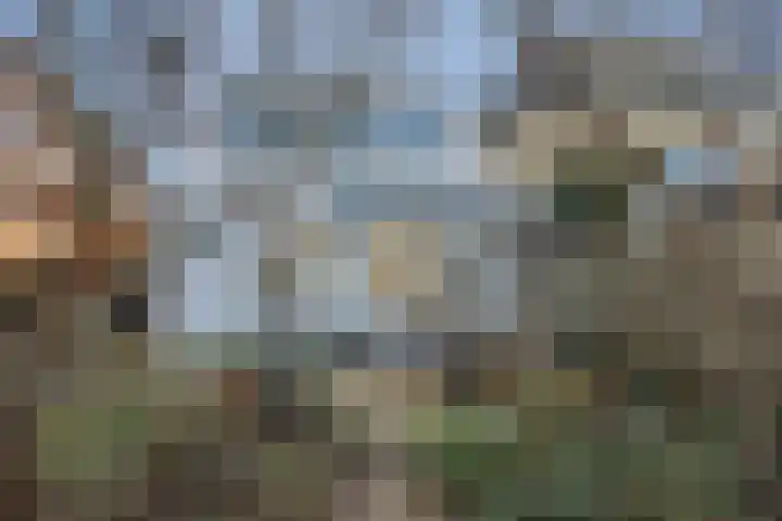 Wilhelminalaan 3 Vught thumbnail 19