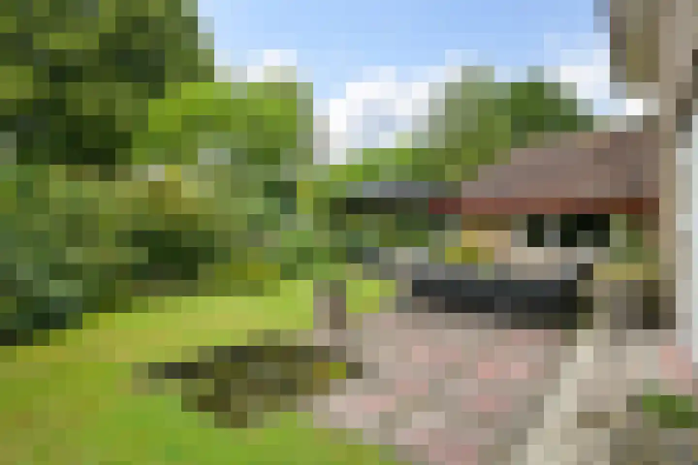 Wilhelminalaan 3 Wassenaar thumbnail 39