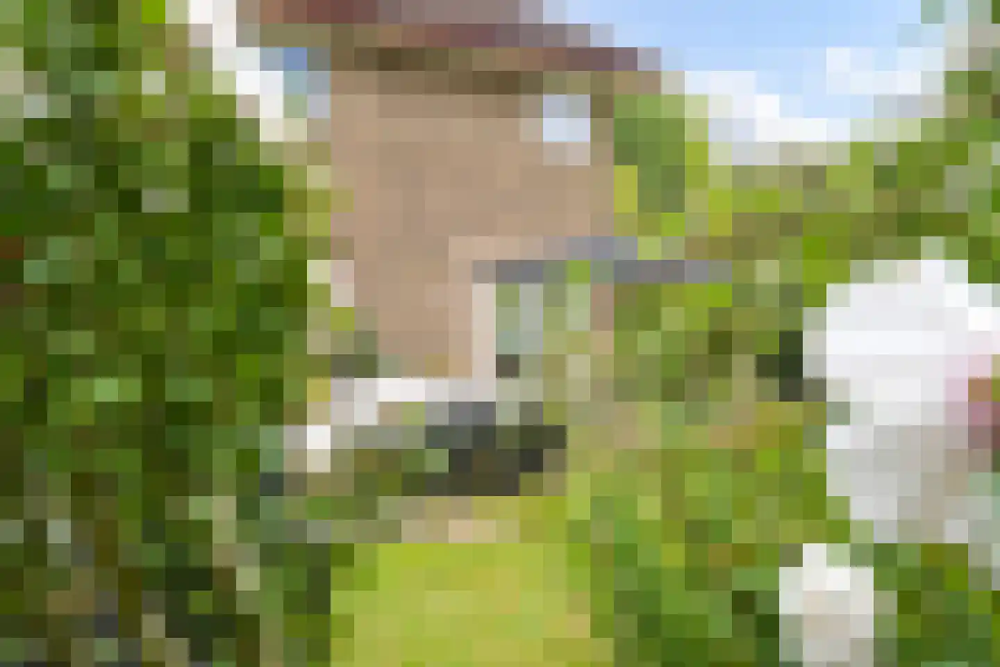 Wilhelminalaan 3 Wassenaar thumbnail 41
