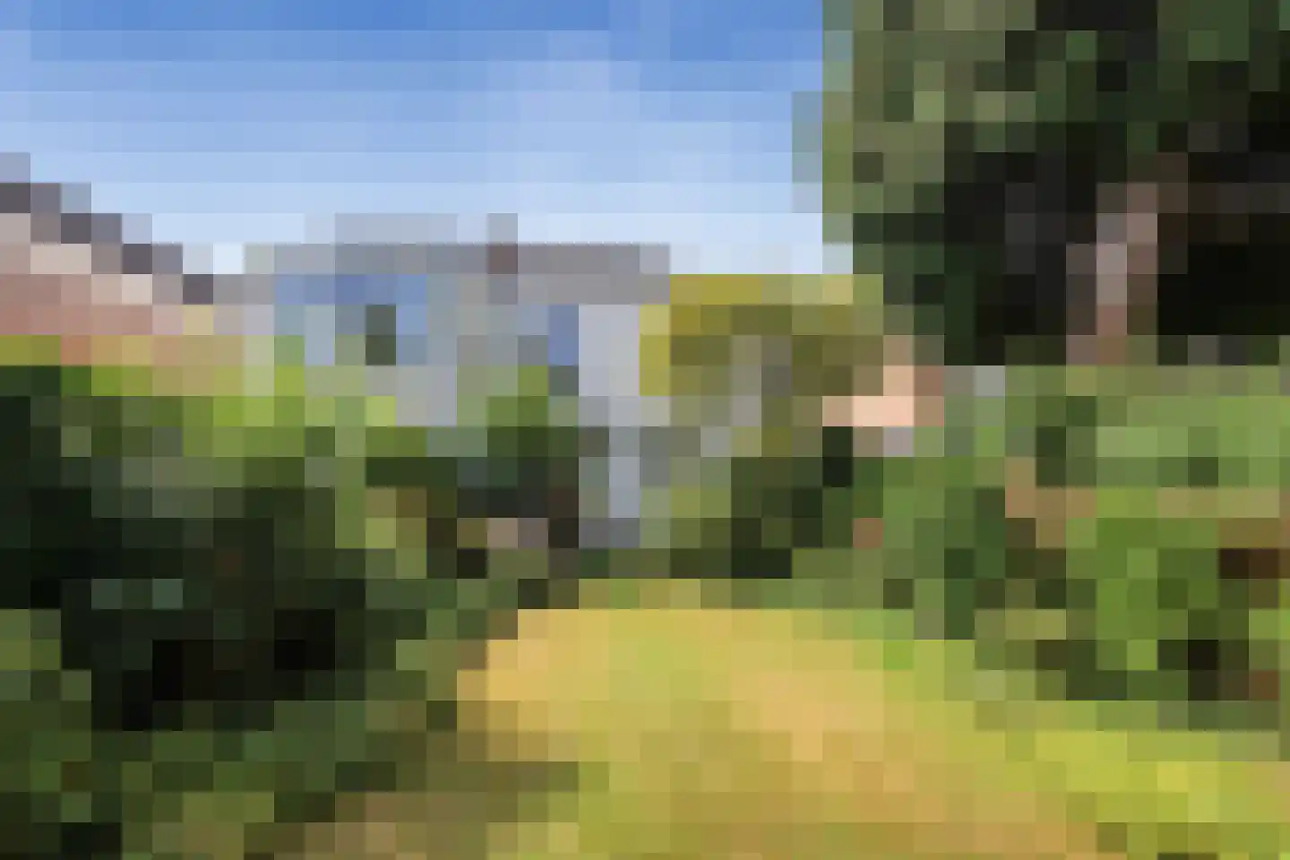 Wilhelminalaan 31 De Bilt thumbnail 8