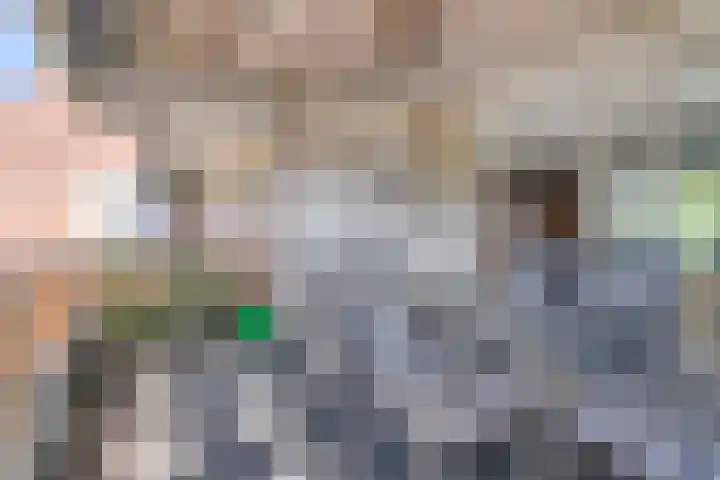 Wilhelminalaan 31 Helmond thumbnail 23