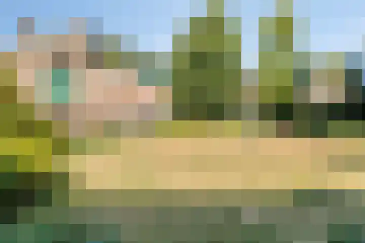 Wilhelminalaan 31 Helmond thumbnail 34