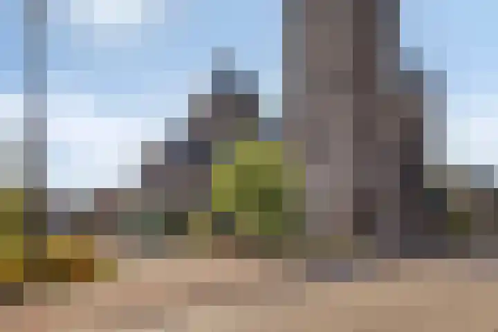 Wilhelminalaan 31 Helmond thumbnail 36