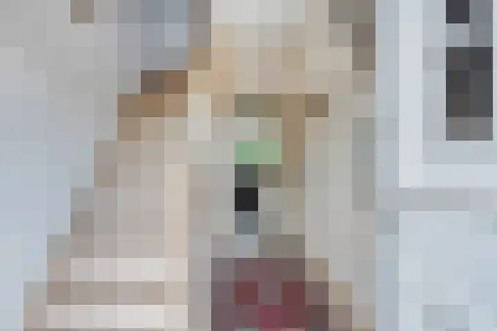 Wilhelminalaan 31 Maasbracht thumbnail 11