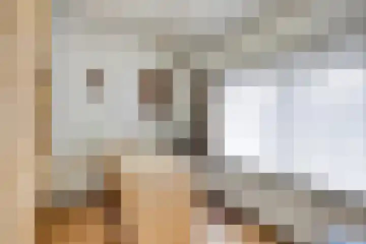 Wilhelminalaan 31 Maasbracht thumbnail 13