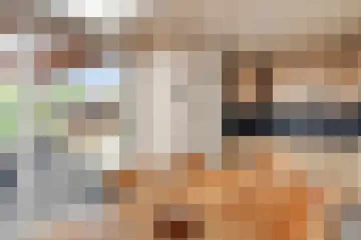 Wilhelminalaan 31 Maasbracht thumbnail 17
