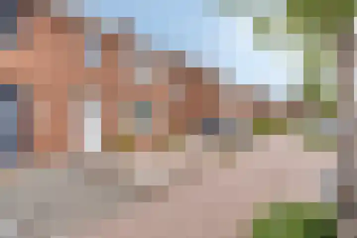 Wilhelminalaan 31 Maasbracht thumbnail 4