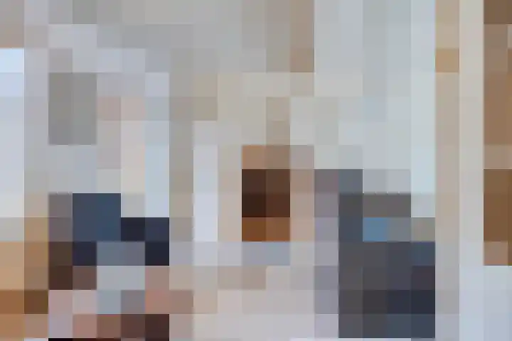 Wilhelminalaan 31 Maasbracht thumbnail 5