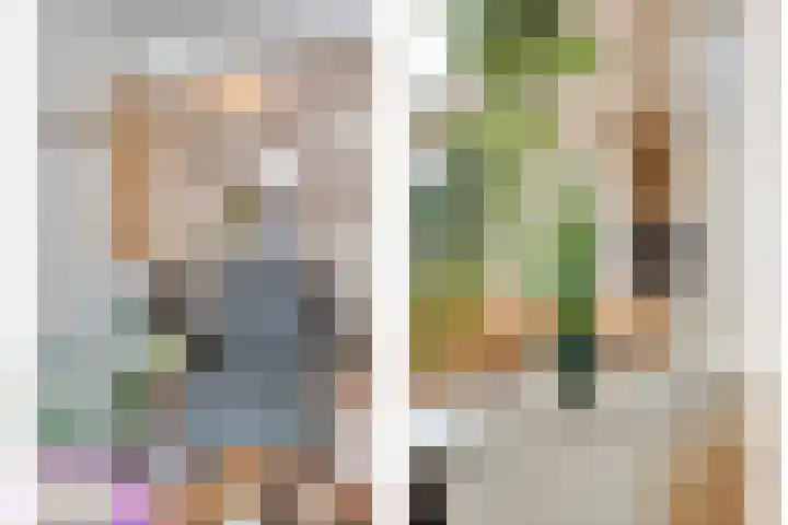 Wilhelminalaan 31 Maasbracht thumbnail 8