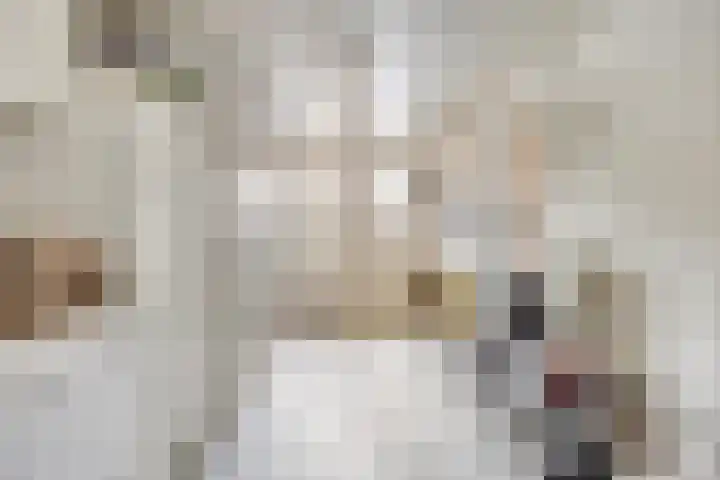 Wilhelminalaan 31 Maasbracht thumbnail 9