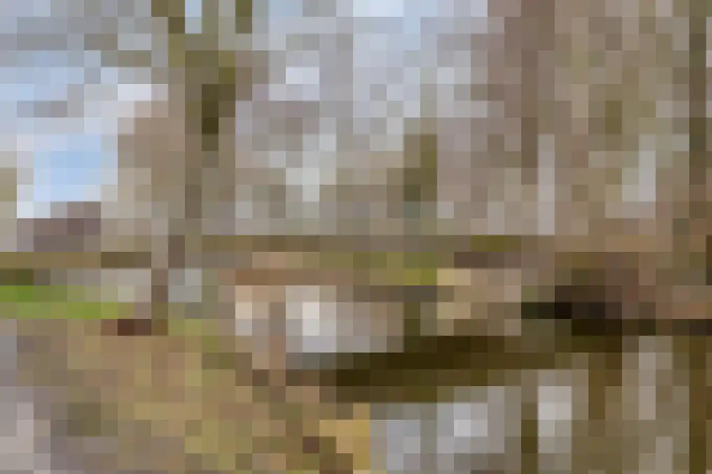 Wilhelminalaan 34 Hillegom thumbnail 33