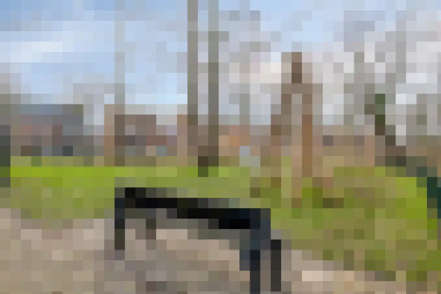 Wilhelminalaan 34 Hillegom thumbnail 36