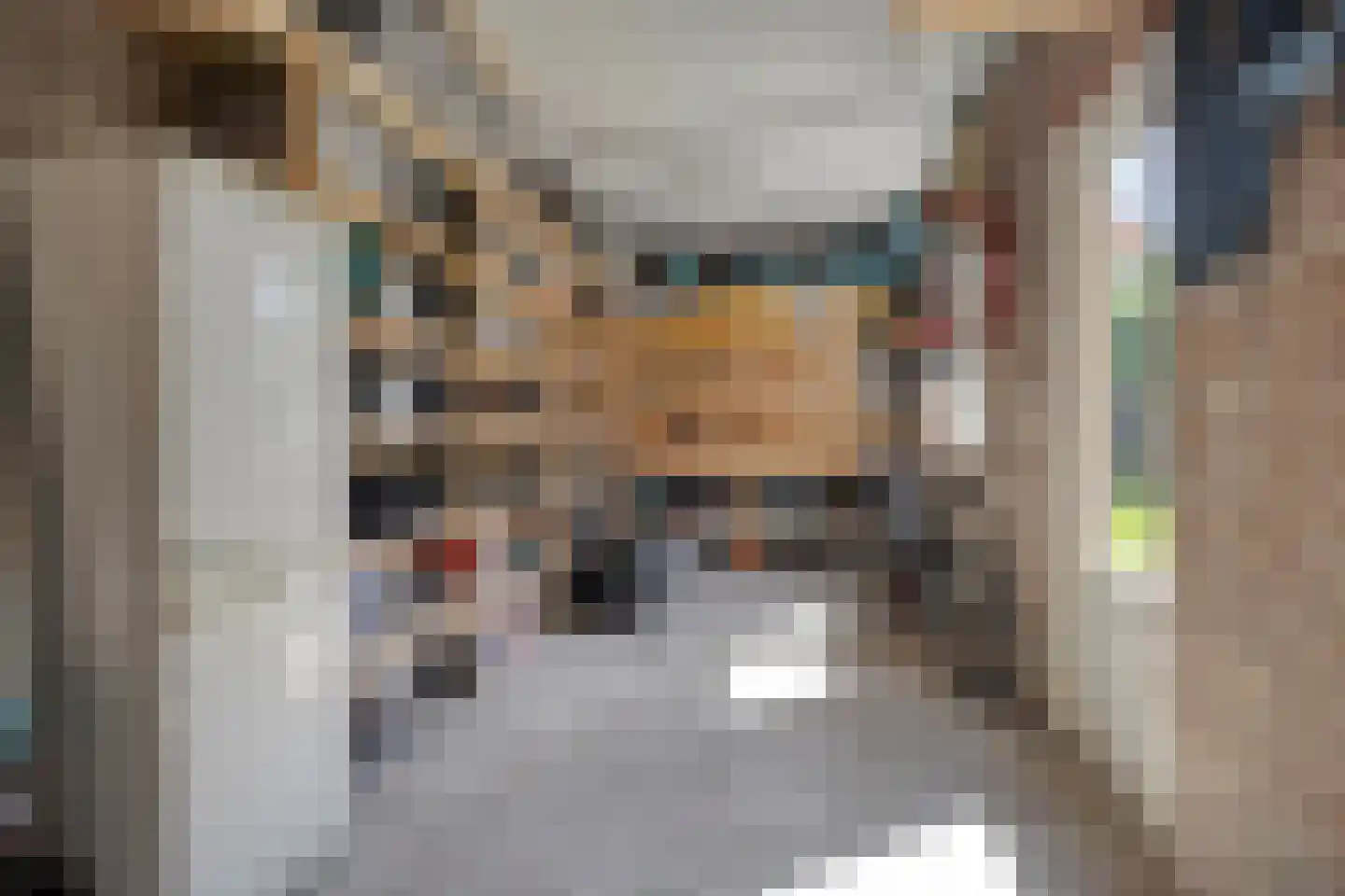 Wilhelminalaan 34 Vessem thumbnail 22