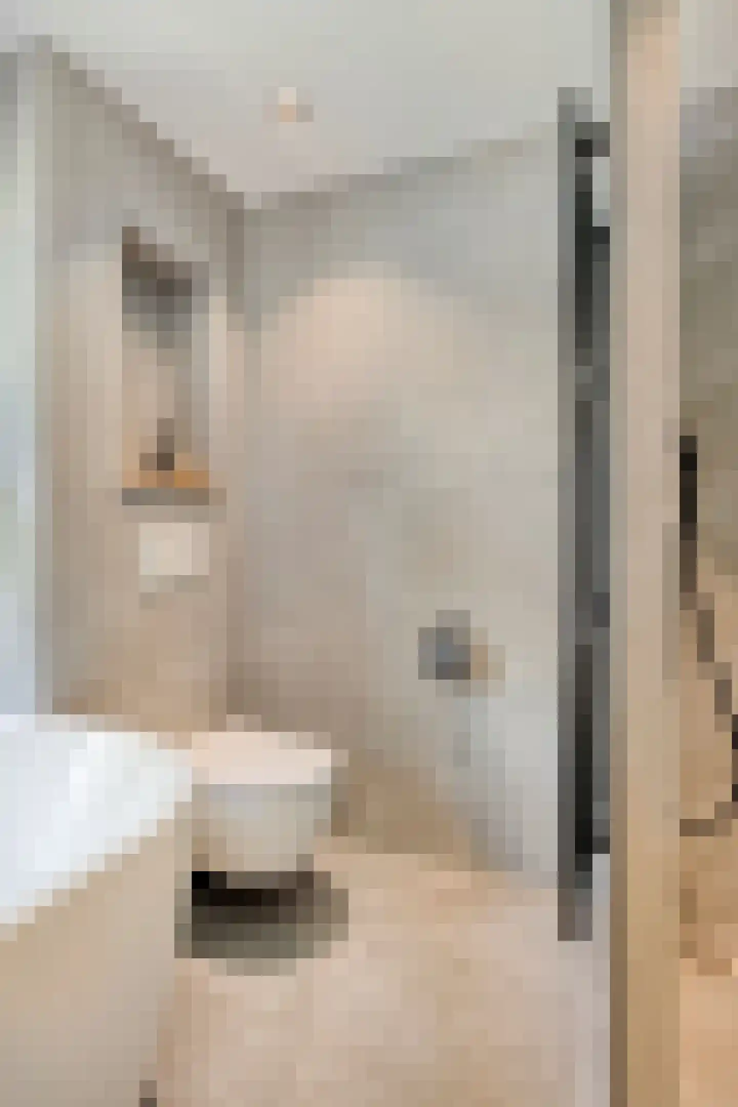 Wilhelminalaan 34 Vessem thumbnail 31
