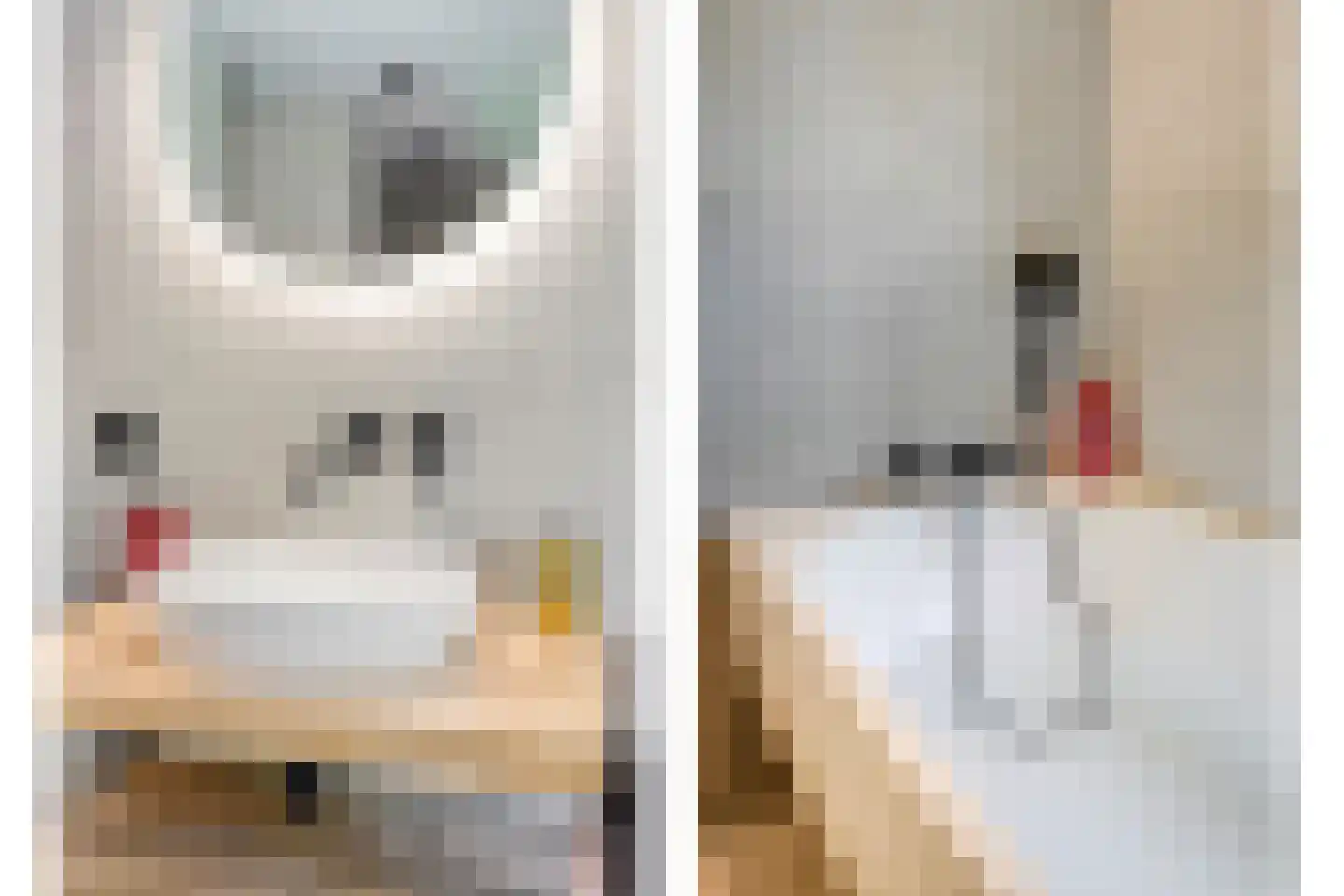 Wilhelminalaan 34 Vessem thumbnail 4