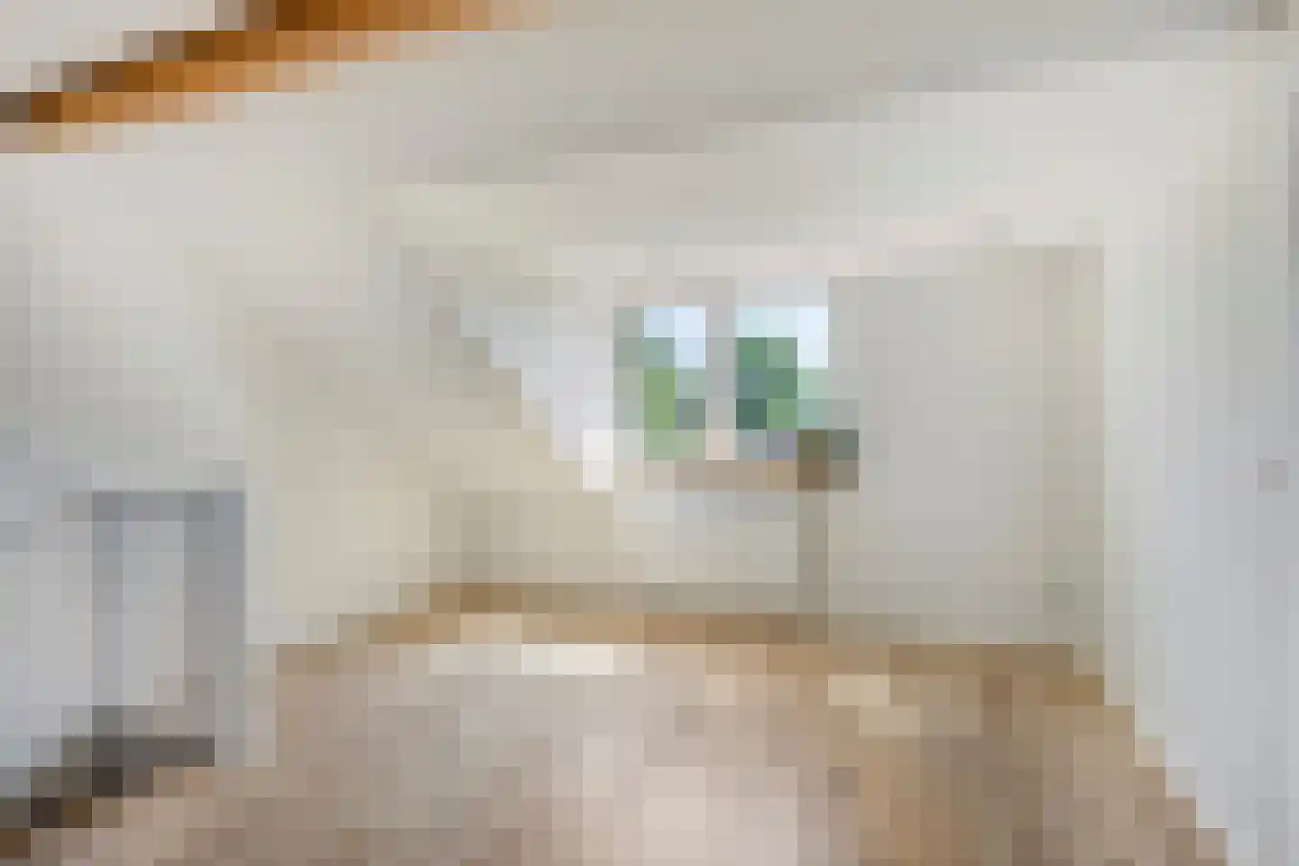 Wilhelminalaan 34 Vessem thumbnail 42