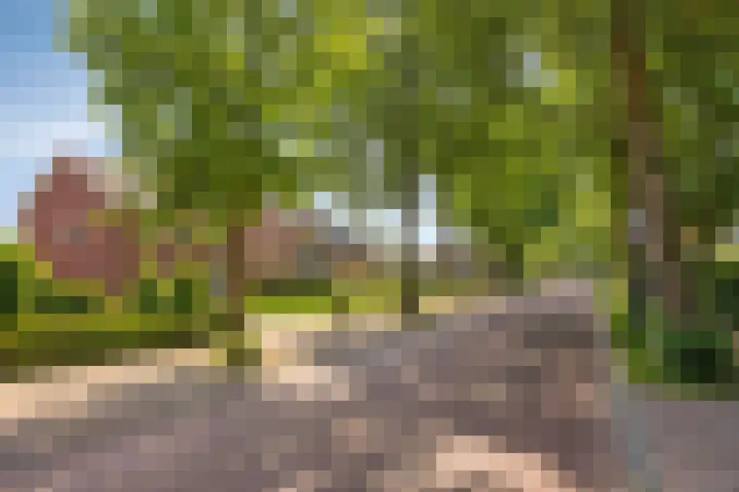 Wilhelminalaan 34 Vessem thumbnail 46