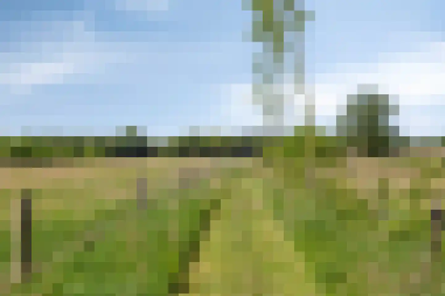 Wilhelminalaan 34 Vessem thumbnail 47