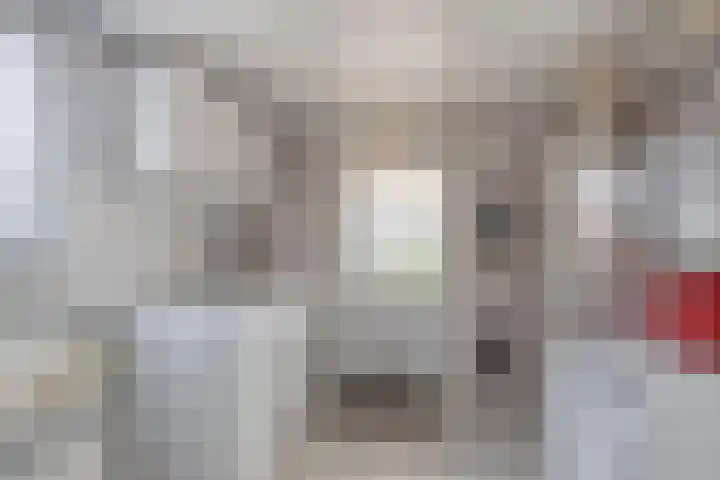Wilhelminalaan 38 Maasbracht thumbnail 14