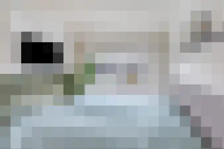 Wilhelminalaan 38 Maasbracht thumbnail 17