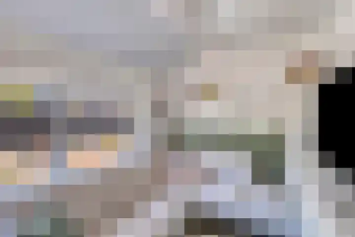 Wilhelminalaan 38 Maasbracht thumbnail 20