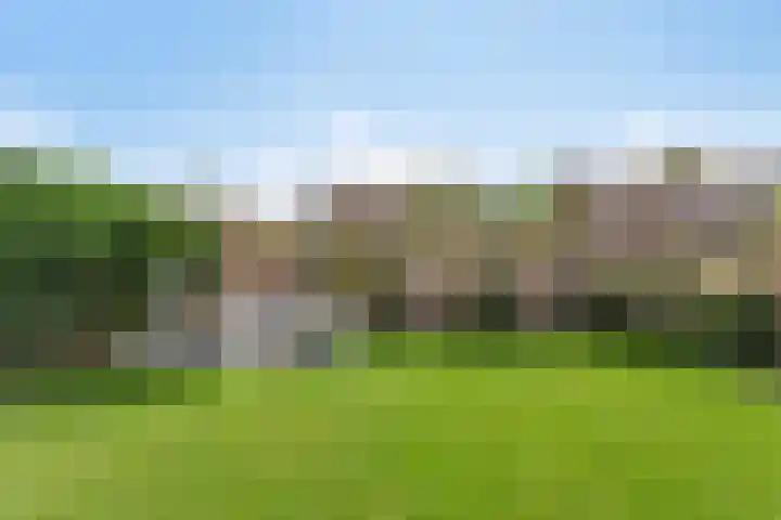 Wilhelminalaan 38 Maasbracht thumbnail 21