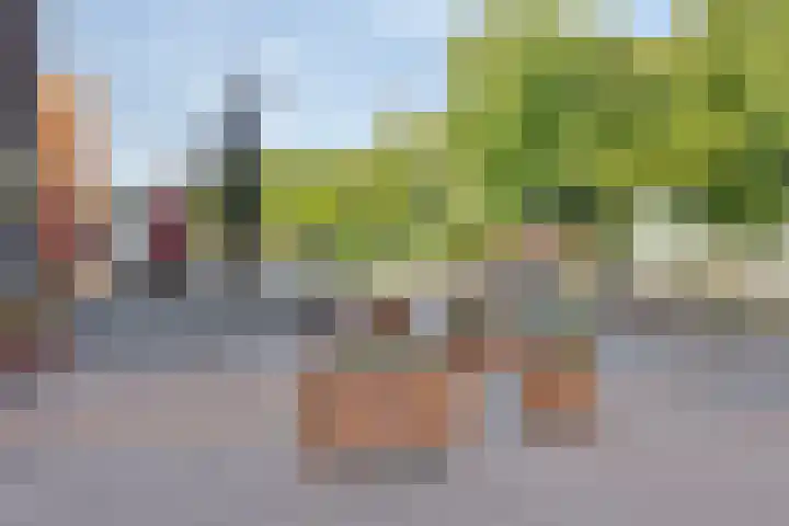 Wilhelminalaan 38 Maasbracht thumbnail 30