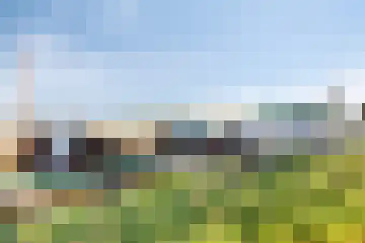 Wilhelminalaan 38 Maasbracht thumbnail 31