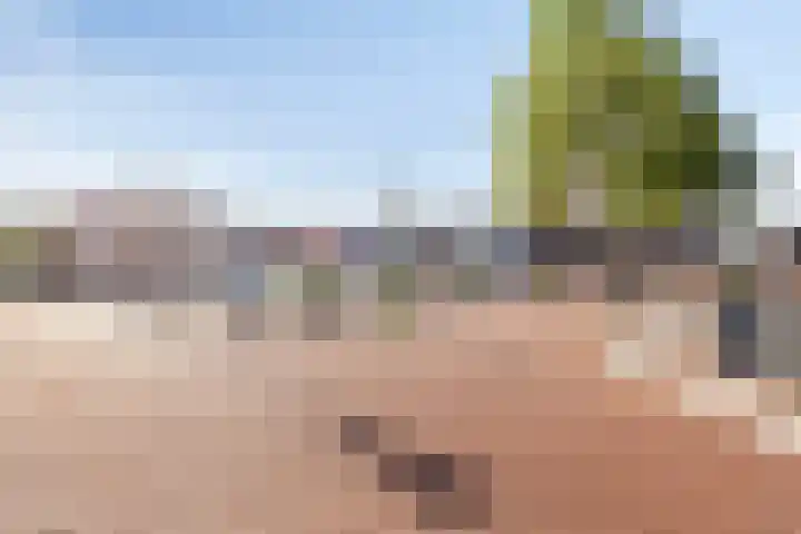Wilhelminalaan 38 Maasbracht thumbnail 32