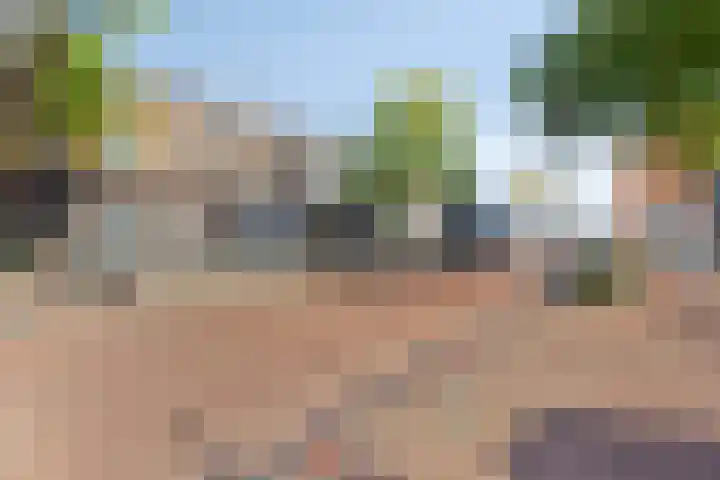 Wilhelminalaan 38 Maasbracht thumbnail 35