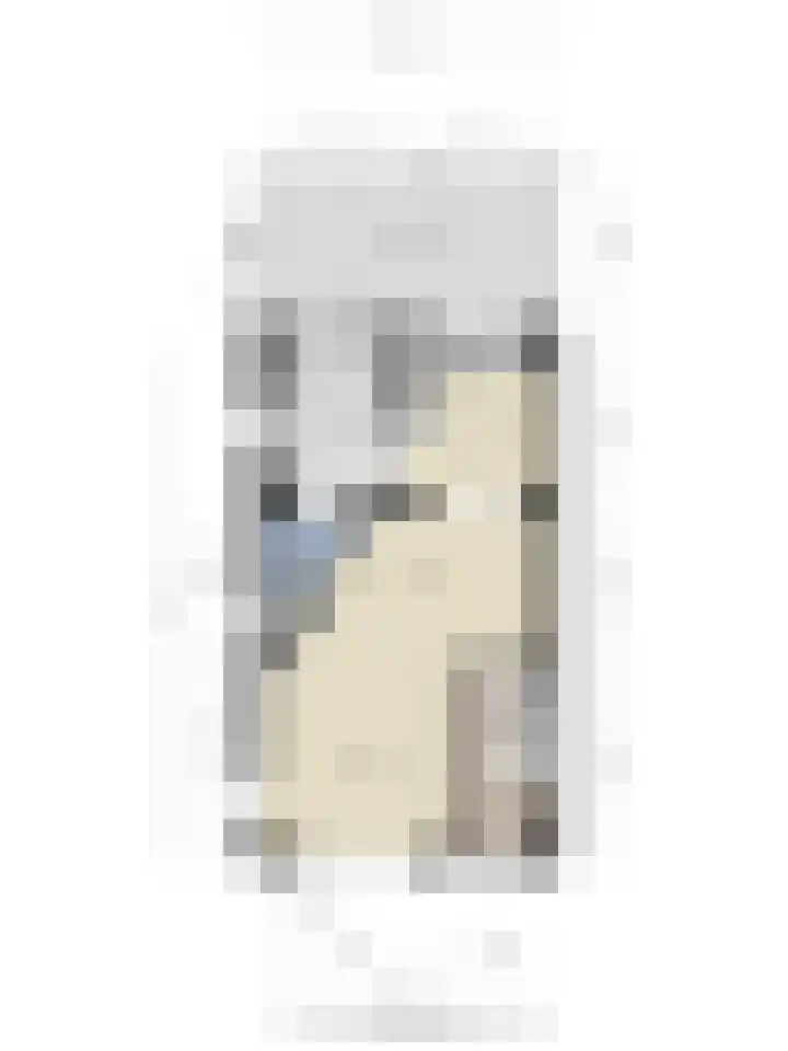 Wilhelminalaan 38 Maasbracht thumbnail 38
