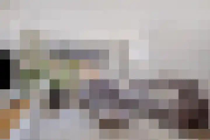 Wilhelminalaan 38 Maasbracht thumbnail 5