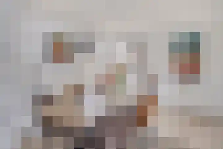 Wilhelminalaan 38 Maasbracht thumbnail 7