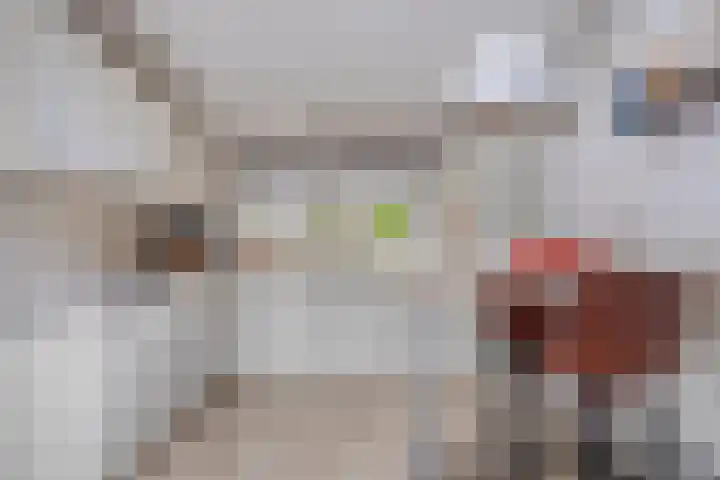 Wilhelminalaan 38 Maasbracht thumbnail 8