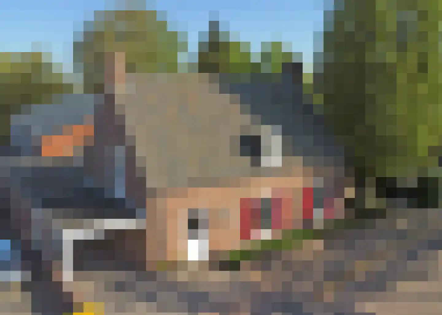 Wilhelminalaan 39 Reusel thumbnail 8