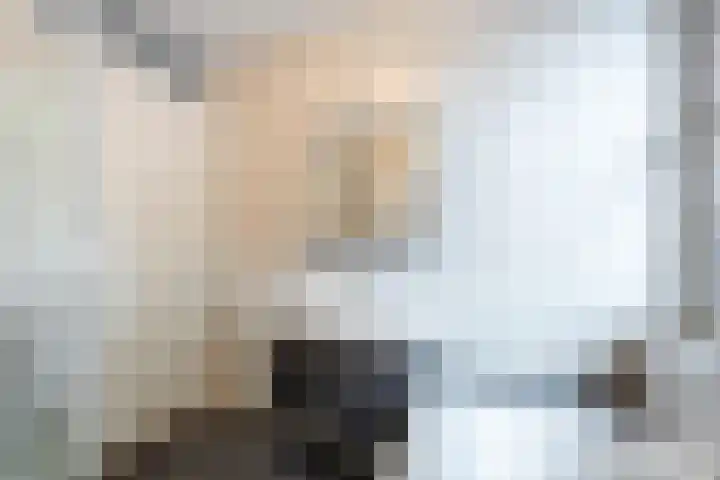 Wilhelminalaan 4 D Veghel thumbnail 22