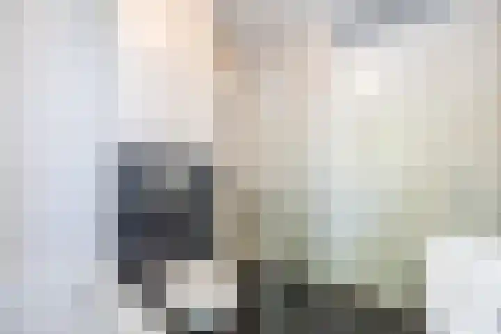 Wilhelminalaan 4 D Veghel thumbnail 23