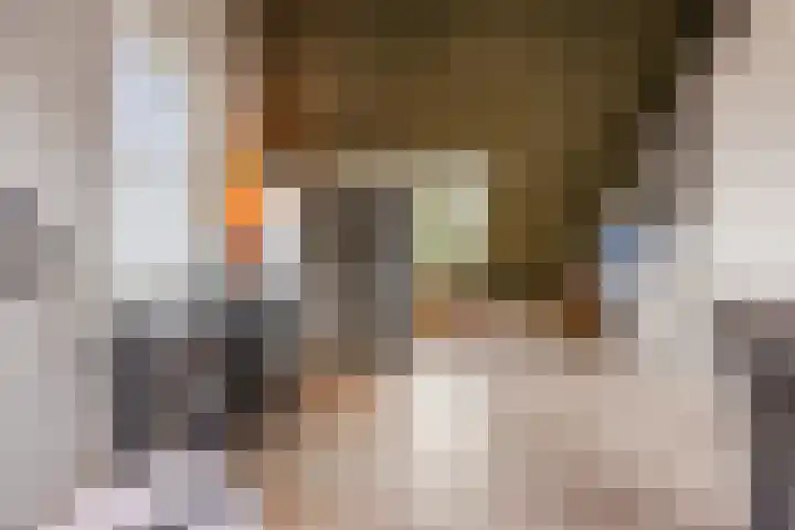 Wilhelminalaan 4 D Veghel thumbnail 24