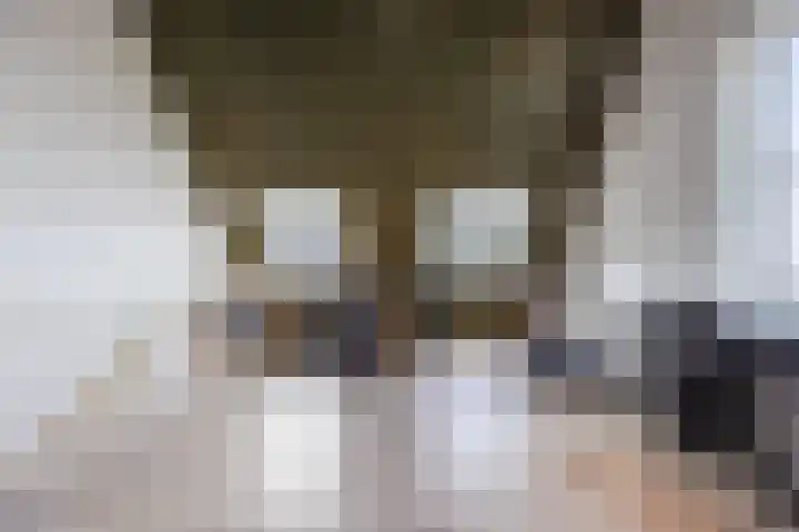 Wilhelminalaan 4 D Veghel thumbnail 26